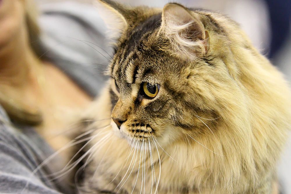 IMAGE: http://i1174.photobucket.com/albums/r601/kevinlillard/02222014a/20130302a0000g_zpsbdb398e8.jpg