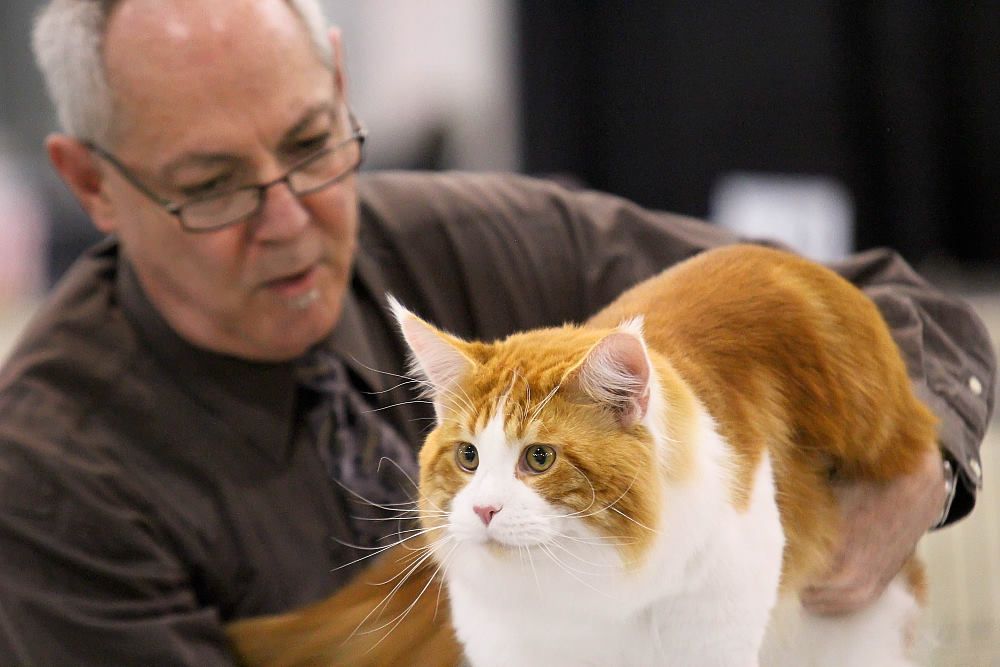 IMAGE: http://i1174.photobucket.com/albums/r601/kevinlillard/07222014a/20130302a0864_zps71e6990a.jpg