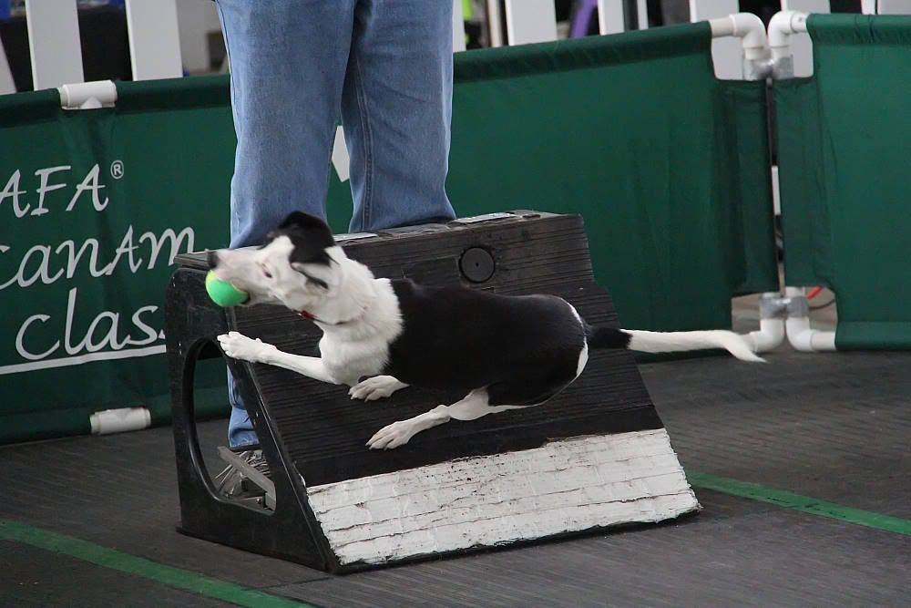 IMAGE: http://i1174.photobucket.com/albums/r601/kevinlillard/20121013g0009_zps03a2af94.jpg