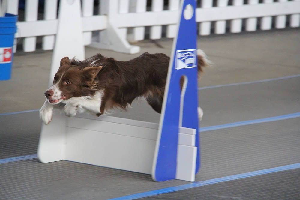 IMAGE: http://i1174.photobucket.com/albums/r601/kevinlillard/20121013g0321_zpse19394dd.jpg