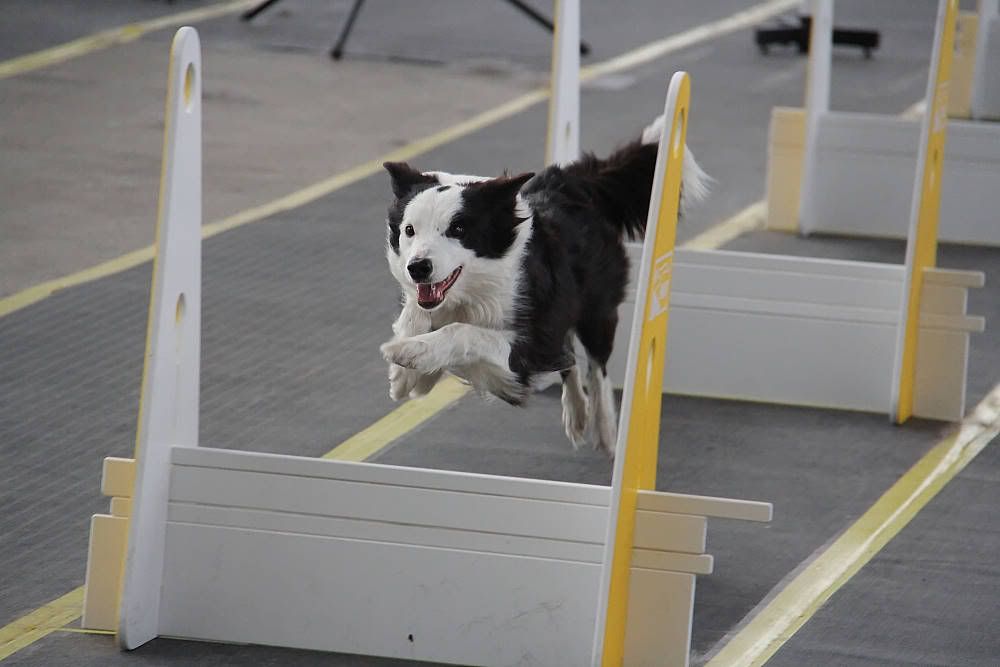 IMAGE: http://i1174.photobucket.com/albums/r601/kevinlillard/20121013g0357_zps3764521f.jpg