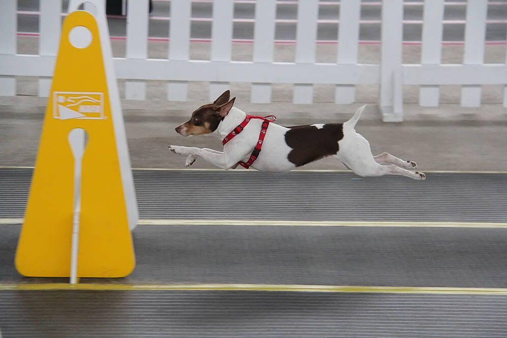 IMAGE: http://i1174.photobucket.com/albums/r601/kevinlillard/20121013g0725_zpsfcedf7fc.jpg