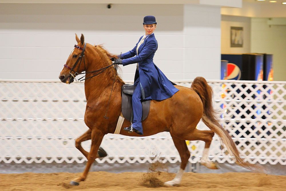 IMAGE: http://i1174.photobucket.com/albums/r601/kevinlillard/june1/20110603a0508_zpsfdf90295.jpg