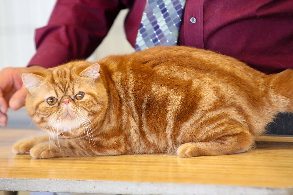 IMAGE: http://i1174.photobucket.com/albums/r601/kevinlillard/june1/june10/20121028a0578a_zpsab3148b1.jpg