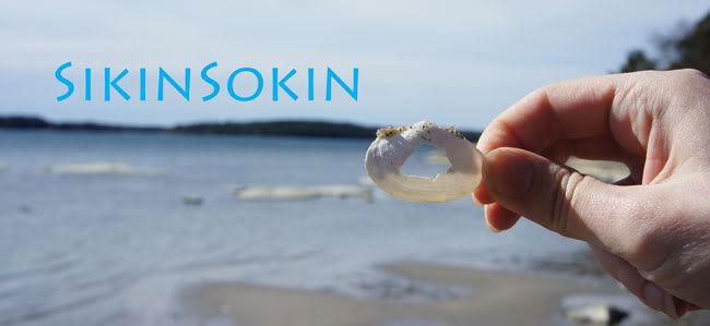 SikinSokin
