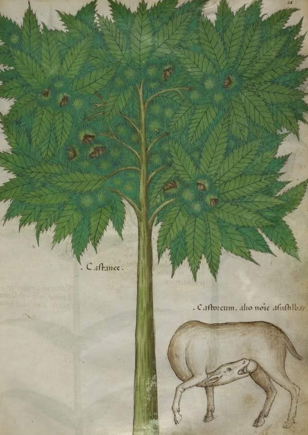 Конденсат 2012-02-07 - ong30