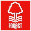 forest.jpg