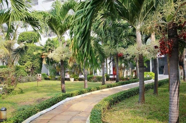 Cho thuê căn hộ chung cư cao cấp 4s riverside garden thủ đức - 2