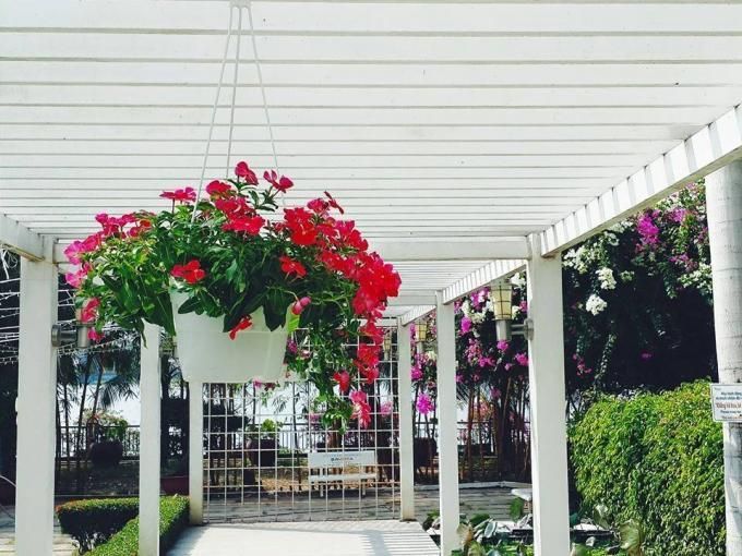 Cho thuê căn hộ chung cư cao cấp 4s riverside garden thủ đức - 1