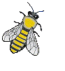 Bee gif photo: bee bee-1.gif