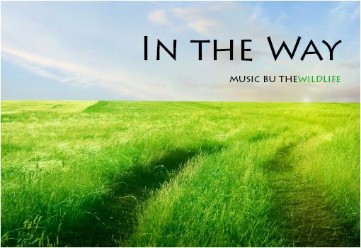  photo intheway_zpsba9cff07.jpg