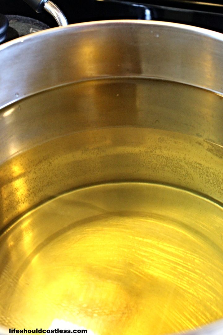 Canning With Fruit Juice LIFE SHOULD COST LESS