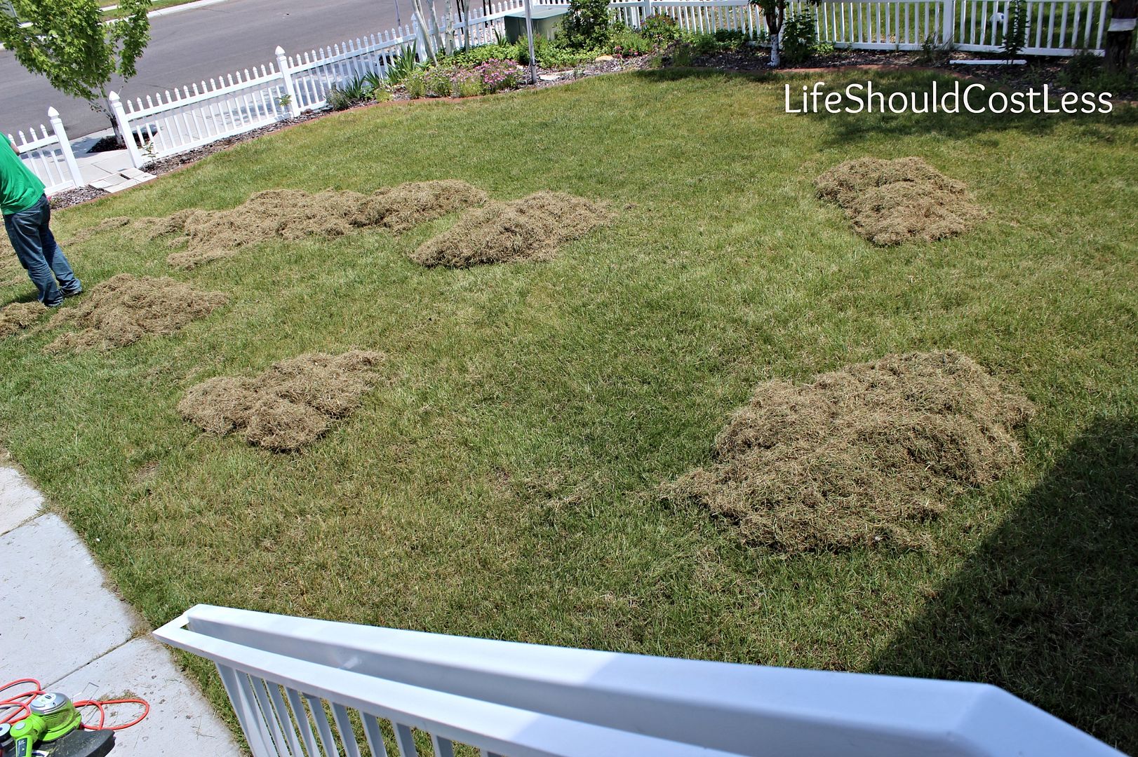 Our Results, Before And After Power Raking Our Lawn LIFE SHOULD COST LESS