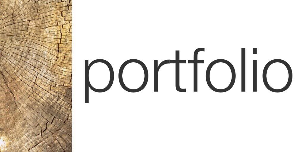 PORTFOLIO icon