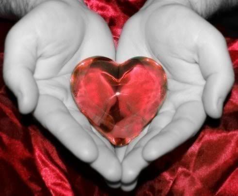 amor Pictures, Images and Photos