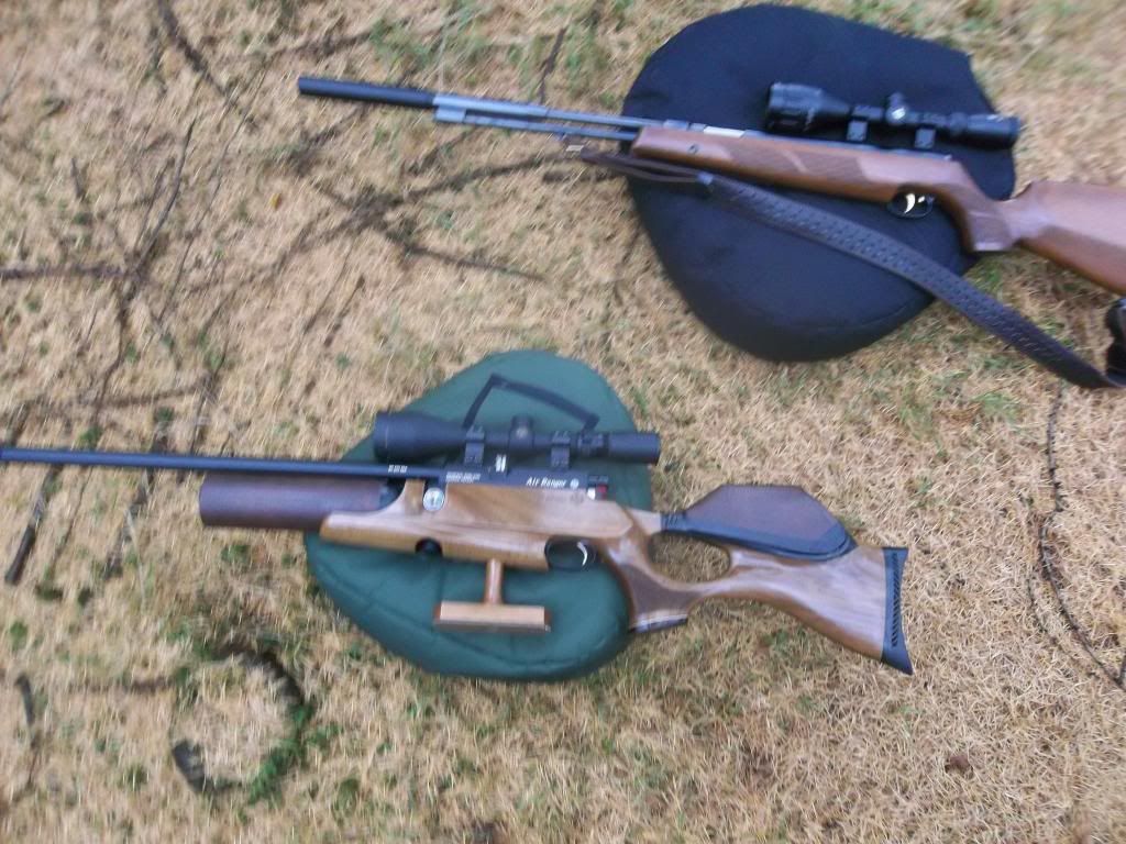 Will An Air Rifle Kill A Seagull at Trina Cioffi blog