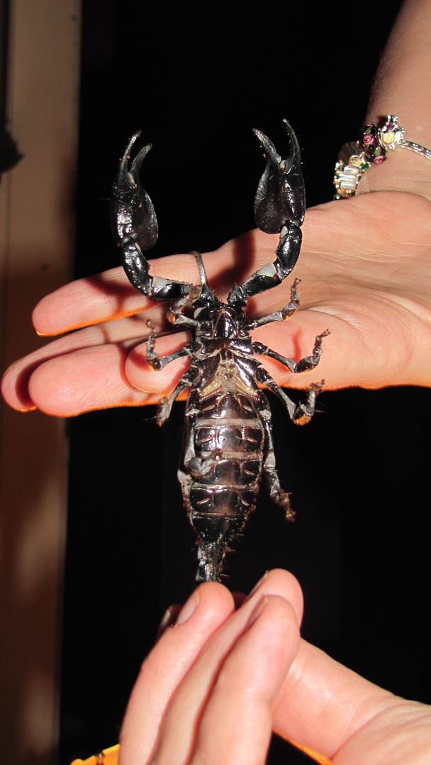male or female 2 photo maleorfemale_zps1mdgr8w4.jpg
