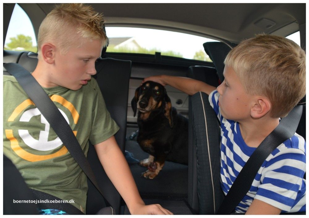 At sige farvel til sin hund