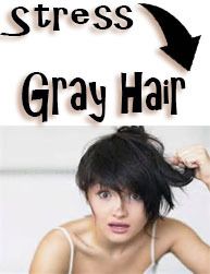 Gray Hair, Gray Hair Solutions, Could your job be making you grey, Is Stress Turning Your Hair Grey, Stress, Stressful Jobs, melanocyte, melanocyte stem cells, 
