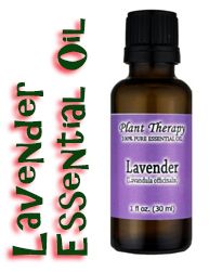 Lavender Essential Oil Pure Undiluted