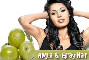 Natural Remedies To Treat Gray Hair Using Amla, Gray Hair, Gray Hair Solutions, Amla Gray Hair Solution