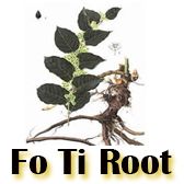 Gray Hair Solutions - Fo Ti Root