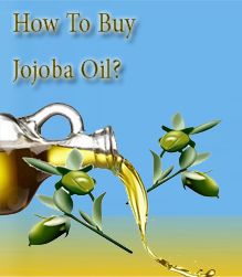 How To Buy Jojoba Oil?, Jojoba Oil, Tips to Buy Jojoba Oil, Cold-Pressed Jojoba Oil,  Jojoba Oil Buying Guide, Organic Jojoba Oil,