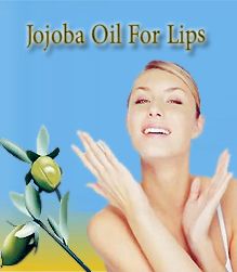 Jojoba Oil For Lips, 4 Uses of Jojoba Oil For Lips, Jojoba Oil, Jojoba Oil Uses, 