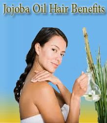Jojoba Oil, Jojoba Oil Hair Benefits, Jojoba Oil Benefits For Hair, Jojoba Oil Hair Uses,