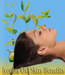 Jojoba Oil, Jojoba Oil Skin Benefits, Jojoba Oil Benefits For Skin, 