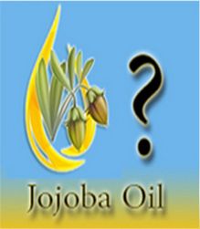 Jojoba Oil, What Is Jojoba Oil?