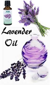 10 Amazing Lavender Essential Oil Uses