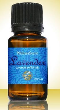 Lavender Essential Oil 100% Natural Pure Undiluted 