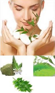 Neem Oil Hair Benefits