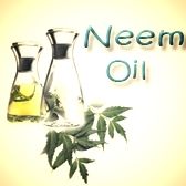 Organic Oils - Neem Oil