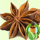 Anise Essential Oil - Beauty Organic OIls