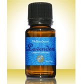 Lavender Oil - Beauty Organic Oils
