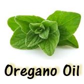 Oregano Essential Oil - Beauty Organic Oils