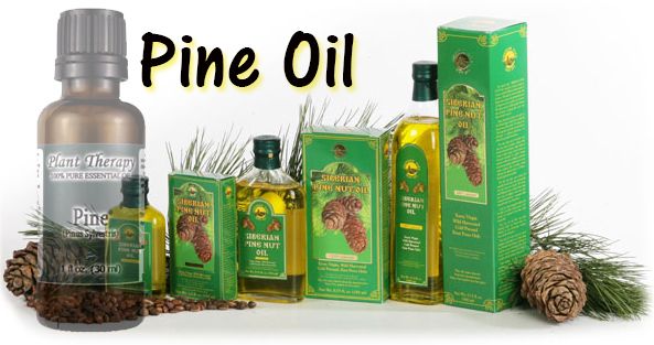 Pine Essential Oil at Amazon.com - Beauty Organic Oils