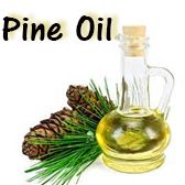 Pine Oil - Beauty Organic Oils