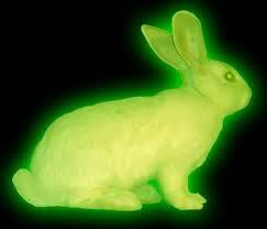 rabbit.jpg
