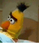 1329628139257.gif