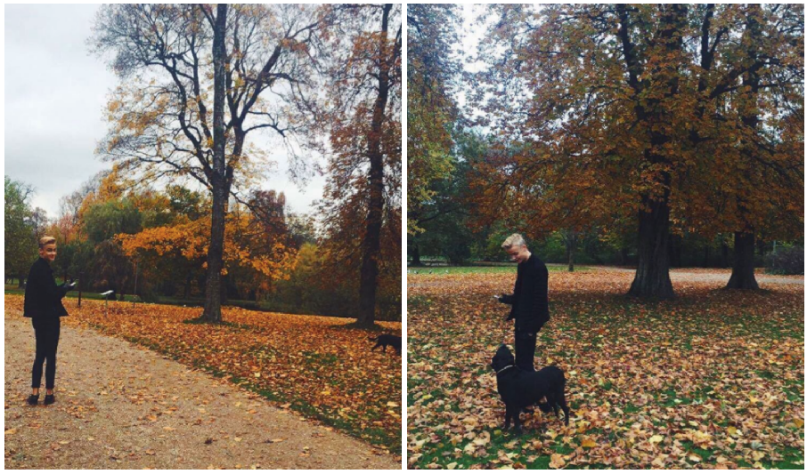photo Skaeligrmbillede 2016-11-06 kl. 19.13.51.png
