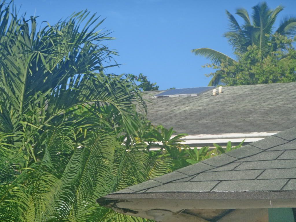 P100000211.jpg