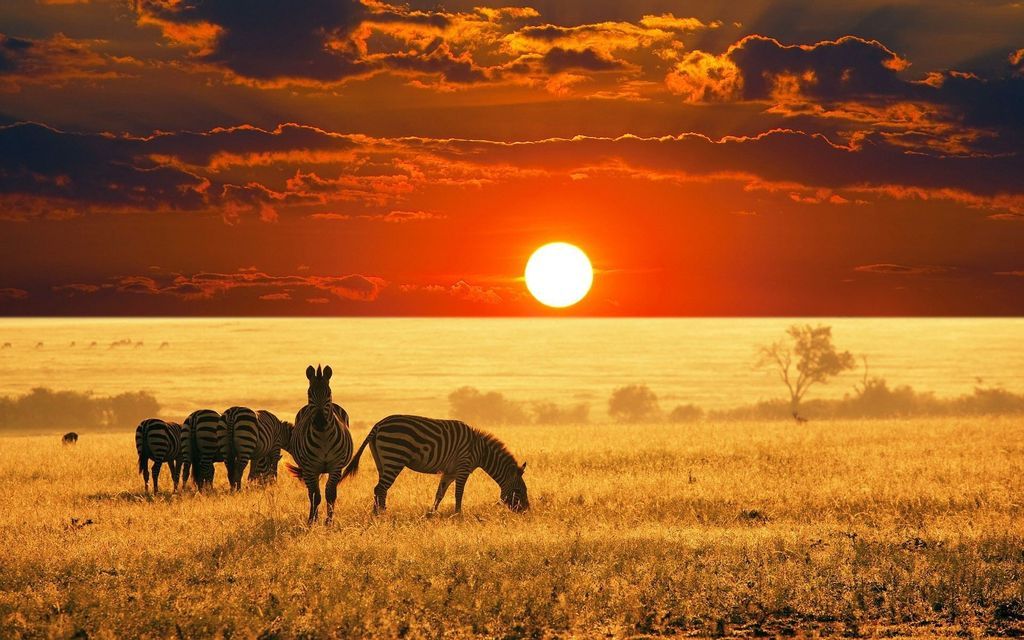 Kenya-Sunset_zpsxzhgke5j.jpg