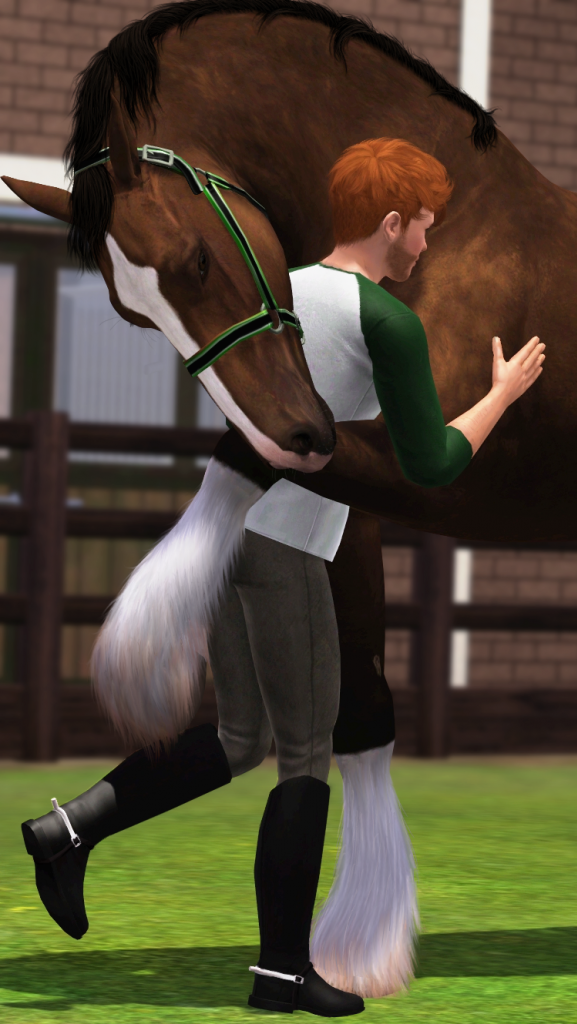 Graen Equestrian - Lots of pictures! CuddleBuddy_zps63889bba