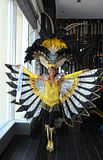 Miss International 2012 National Costume US Virgin Islands Vanessa Donastorg