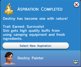 Aspiration%20Completed.png
