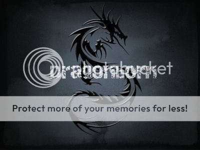 Dragonborn[Reconstructing] banner