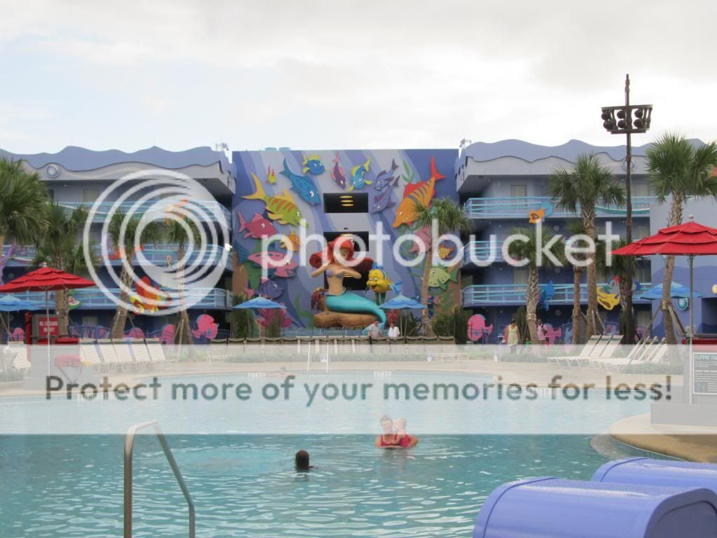 MousePad - Trip Reports from Florida